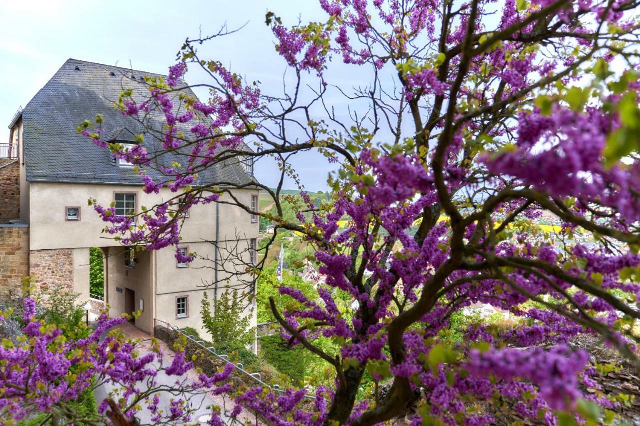 Ev.Familienferien-Und Bildungsstaette Ebernburg Otel Bad Münster am Stein-Ebernburg Dış mekan fotoğraf
